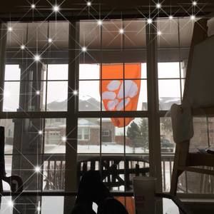 Meet your Posher, Jenny